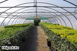 Добавки для производства тепличных покрытий