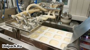 Автомат фасовки и упаковки плавленого сыра полного цикла АЛБ 165