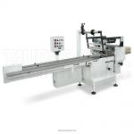 Горизонтальная упаковочная машина Линепак-Ф2 Горизонтальная упаковочная машина Линепак-Ф2