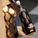 Термоусадочная этикетка Термоусадочная этикетка