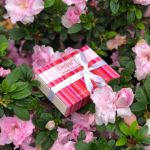 Подарочные коробки и коробки на заказ с логотипом на заказ от 100 штук Подарочные коробки и коробки на заказ с логотипом на заказ от 100 штук